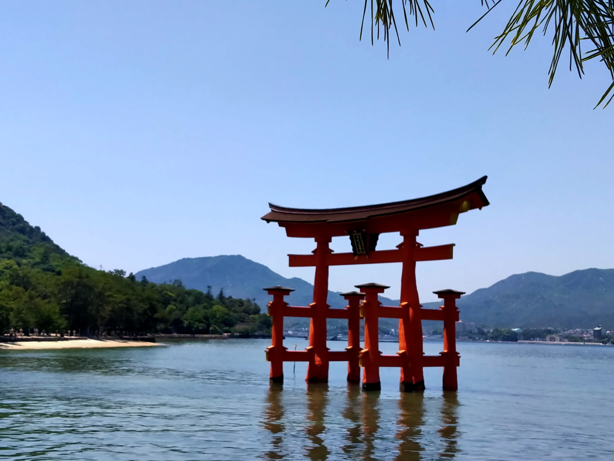 Récord turístico en Japón: cuántos turistas recibió en 2024