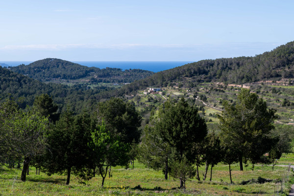 Ibiza contra el alojamiento ilegal: sostenibilidad, control y cooperación