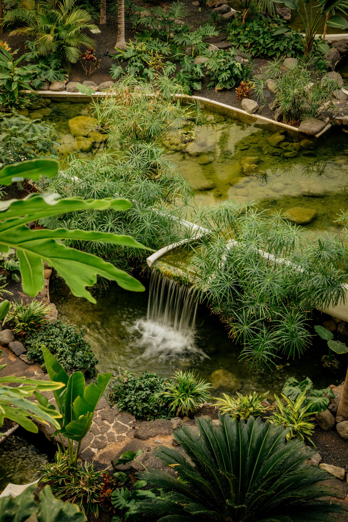 Meliá Hotels International, a través de su plataforma profesional Meliá PRO, presenta Road to Net Zero Events