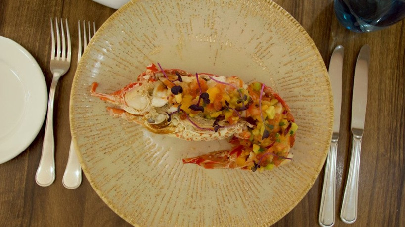 Sabores que celebran la Navidad: la magia de la cocina en Senator Hotels & Resorts