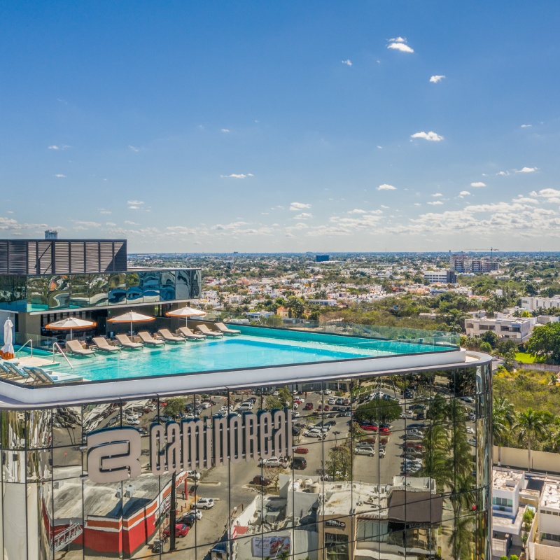 mirai google caso exito grupo camino real