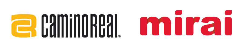 mirai google caso exito grupo camino real