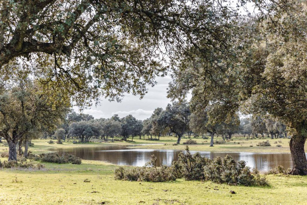 Rosewood y Blasson invertirán 450 M€ en un megacomplejo de turismo rural