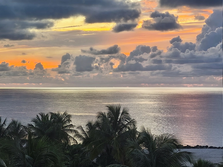 Miami, el destino reinventado con innovación y sostenibilidad