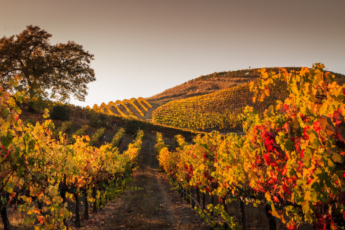 Los 11 rincones de España que te arrepentirás si no los visitas este otoño