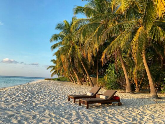 Sunlit tropical beach with palm trees, white sand, and two lounge chairs by the water.
