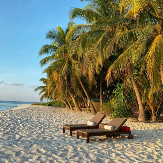 Sunlit tropical beach with palm trees, white sand, and two lounge chairs by the water.