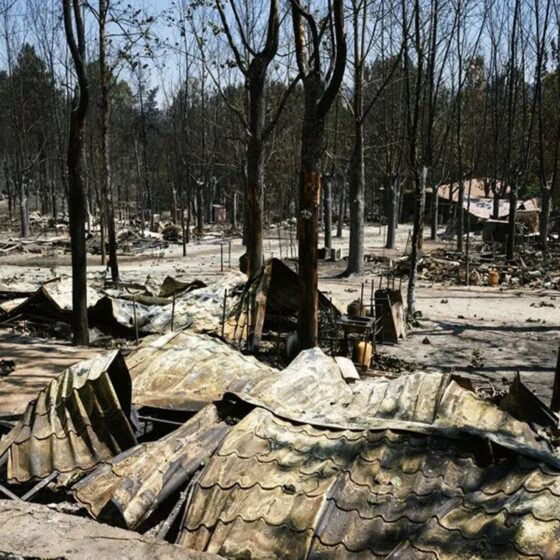 Post-wildfire scene with charred trees and collapsed corrugated metal roofs among ash and debris in a clearing.