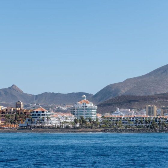 Coastal town along a calm blue sea with palm trees and pastel-colored buildings, mountains in the background.