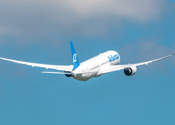 Rear view of a white commercial airplane with a blue tail cruising in a blue sky, wings spread wide.