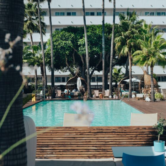 Pool at a sunny resort, surrounded by palm trees with a white multi-story hotel building in the background.
