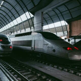 Two high-speed trains sit at a platform beneath a curved, arching roof of the station exterior and glass panels.