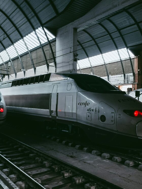 Two high-speed trains sit at a platform beneath a curved, arching roof of the station exterior and glass panels.