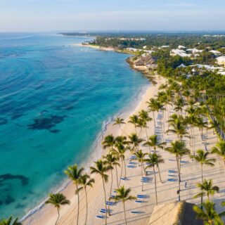Aerial view of a tropical beach with rows of palm trees, white sand, and turquoise water along the coastline.