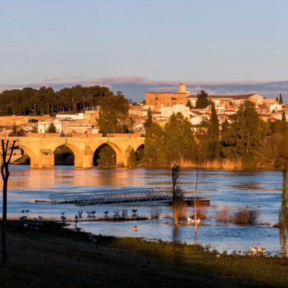 Historic stone arch bridge spans a calm river with a town and trees in the background at sunset.