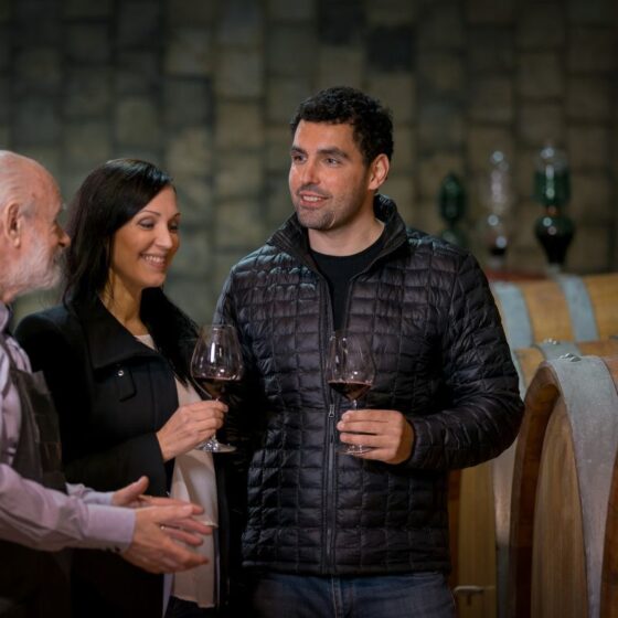 Three people sample wine in a cellar, holding glasses near wooden wine barrels and enjoying conversation.