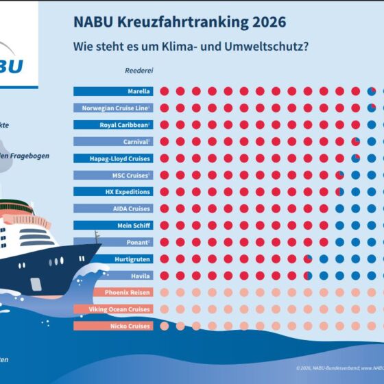 Infografik NABU Kreuzfahrtranking 2026: Umwelt- und Klimaschutz-Bewertung von Kreuzfahrtlinien mit Farbpunkten und Punktwerten rechts.