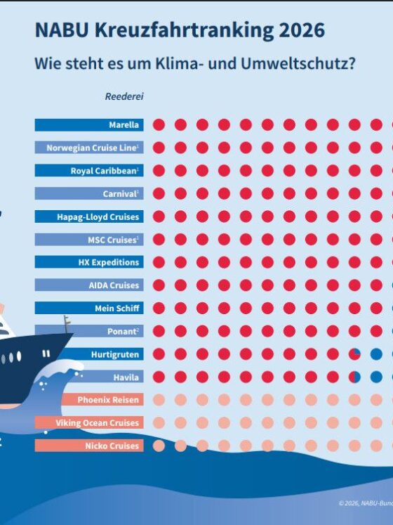 Infografik NABU Kreuzfahrtranking 2026: Umwelt- und Klimaschutz-Bewertung von Kreuzfahrtlinien mit Farbpunkten und Punktwerten rechts.